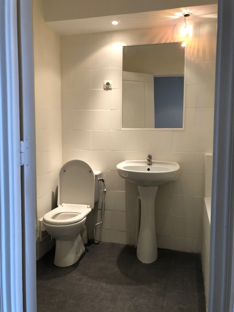 renovation wc