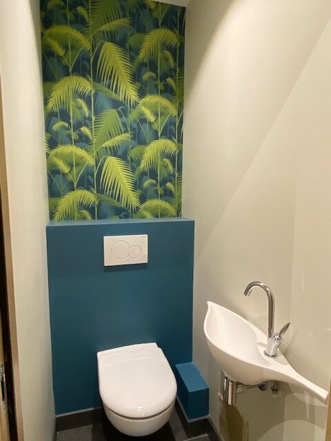 avant apres wc